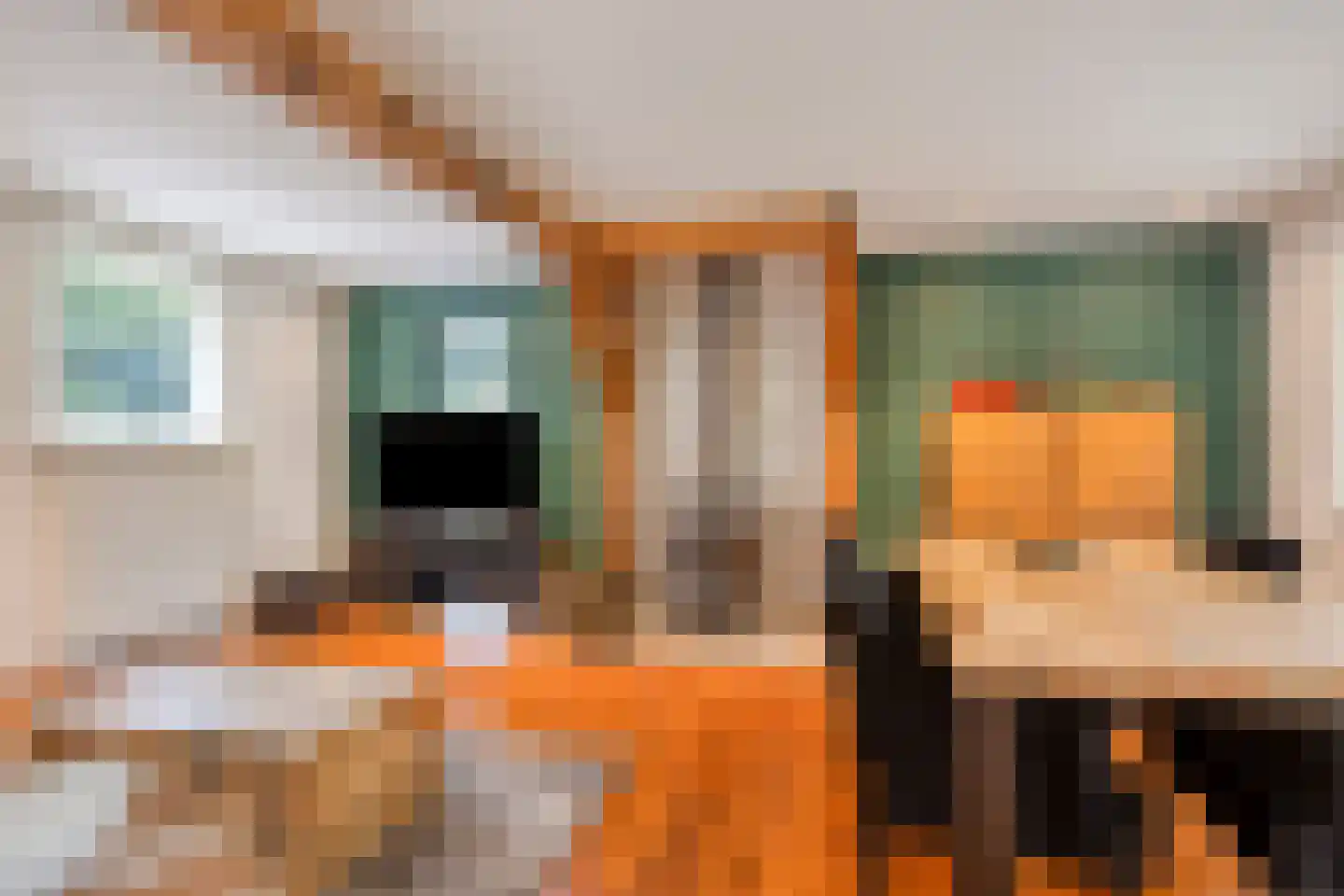 Nieuwland 3 Wapse thumbnail 8