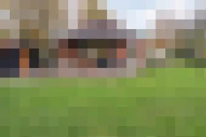 Nieuwland 32 Wapse thumbnail 36