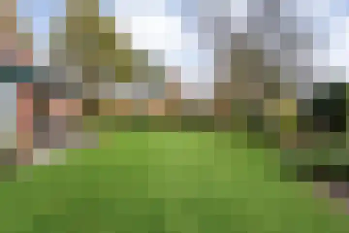 Nieuwland 32 Wapse thumbnail 41