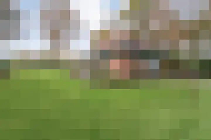 Nieuwland 32 Wapse thumbnail 42