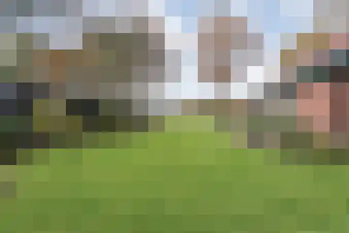 Nieuwland 32 Wapse thumbnail 43