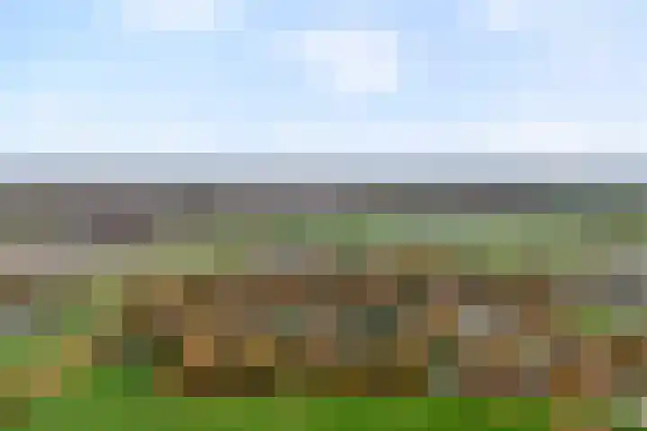 Nieuwland 32 Wapse thumbnail 46