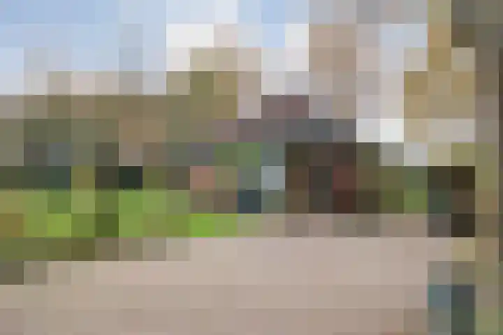 Nieuwland 32 Wapse thumbnail 5