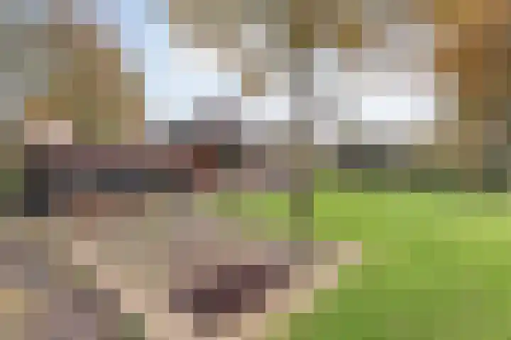 Nieuwland 32 Wapse thumbnail 6