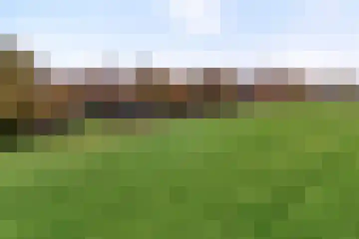 Nieuwland 32 Wapse thumbnail 7