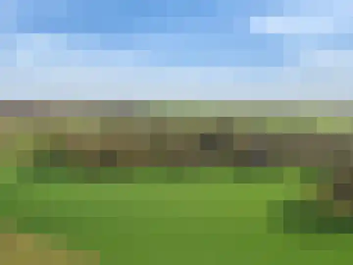 Nieuwland 32 Wapse thumbnail 8