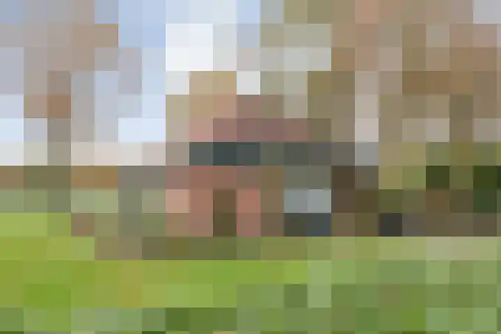 Nieuwland 32 Wapse thumbnail 9