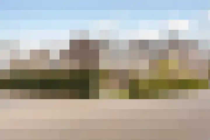 Nieuwland 33 Broek in Waterland thumbnail 69
