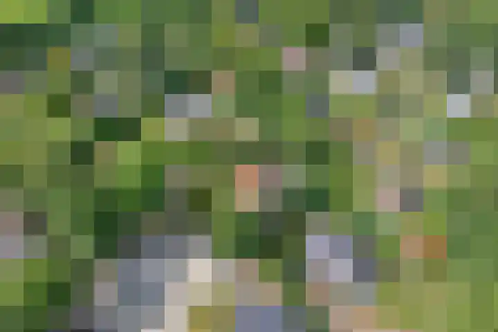 Nieuwland 4 Wapse thumbnail 10