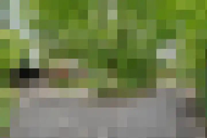 Nieuwland 4 Wapse thumbnail 11
