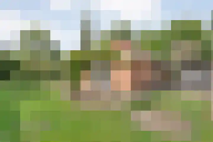 Nieuwland 4 Wapse thumbnail 13