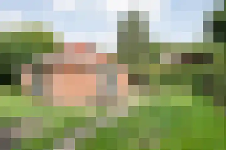 Nieuwland 4 Wapse thumbnail 14