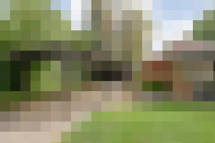 Nieuwland 4 Wapse thumbnail 15