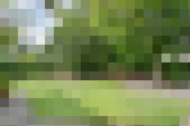 Nieuwland 4 Wapse thumbnail 16