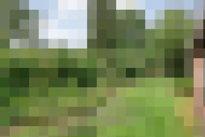 Nieuwland 4 Wapse thumbnail 17