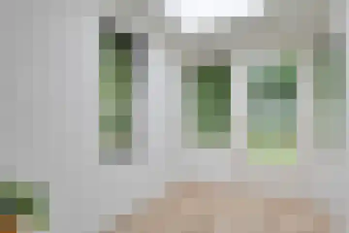 Nieuwland 4 Wapse thumbnail 18