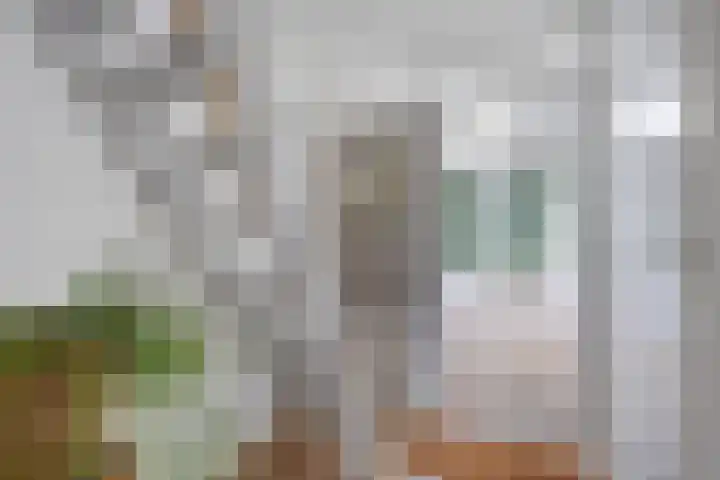 Nieuwland 4 Wapse thumbnail 21