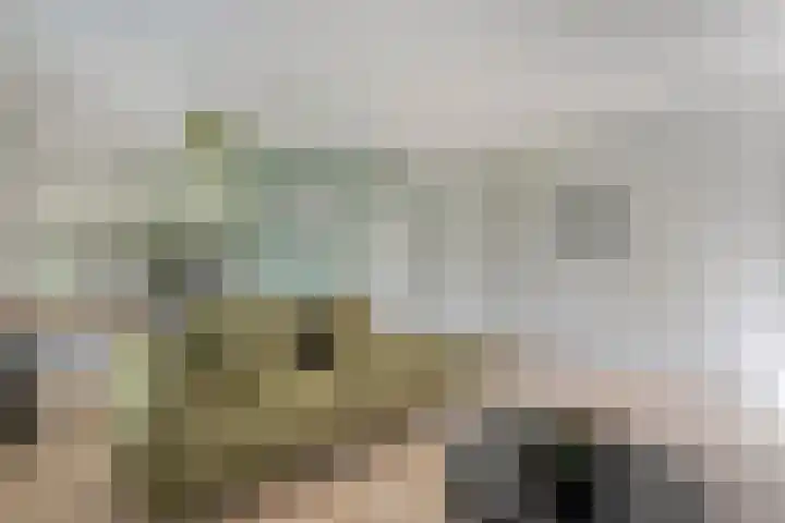Nieuwland 4 Wapse thumbnail 23