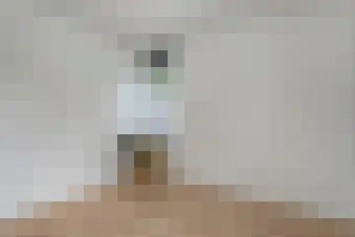 Nieuwland 4 Wapse thumbnail 26