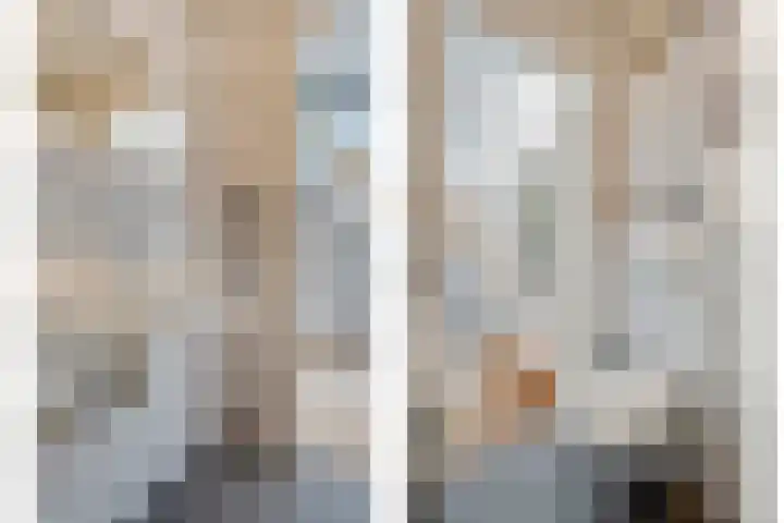 Nieuwland 4 Wapse thumbnail 31