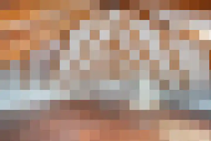 Nieuwland 4 Wapse thumbnail 33
