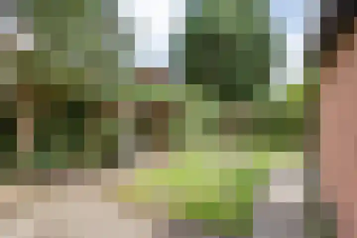 Nieuwland 4 Wapse thumbnail 34