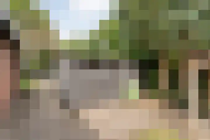 Nieuwland 4 Wapse thumbnail 35