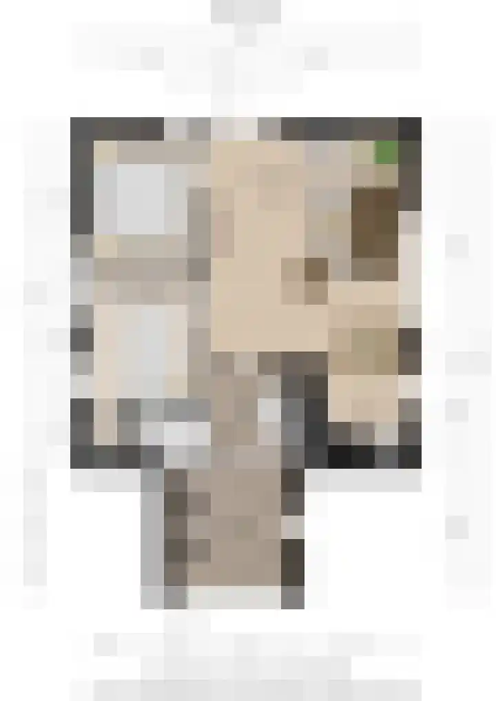 Nieuwland 4 Wapse thumbnail 36