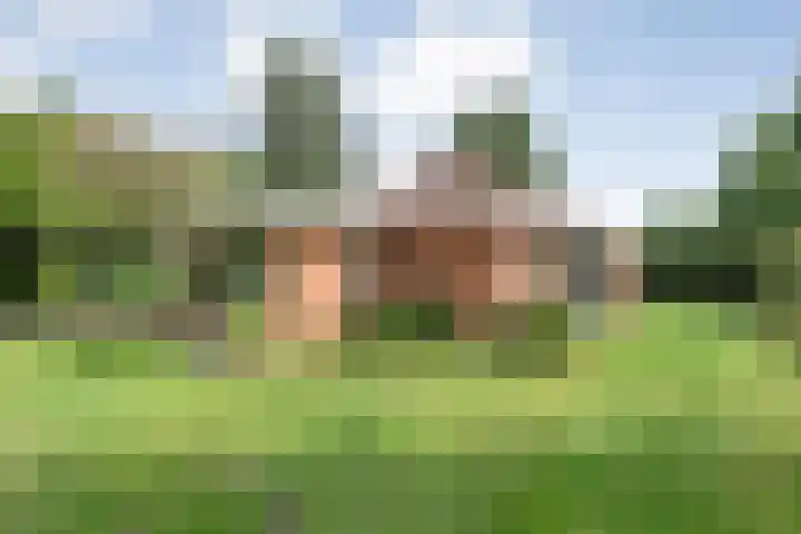 Nieuwland 4 Wapse thumbnail 39