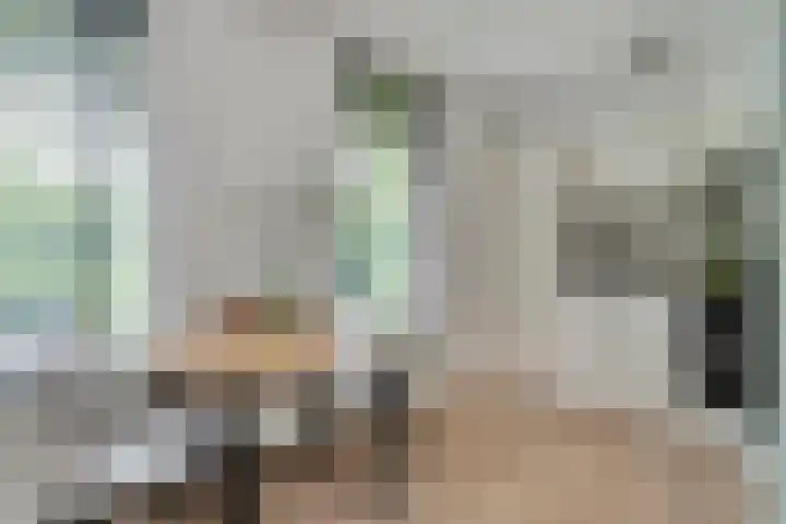 Nieuwland 4 Wapse thumbnail 4