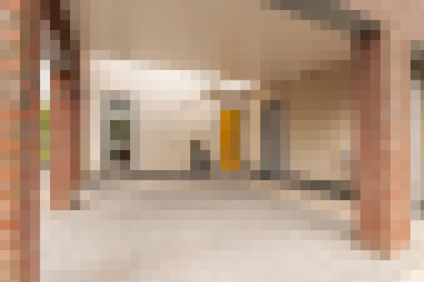 Nieuwland 47 Cothen thumbnail 14