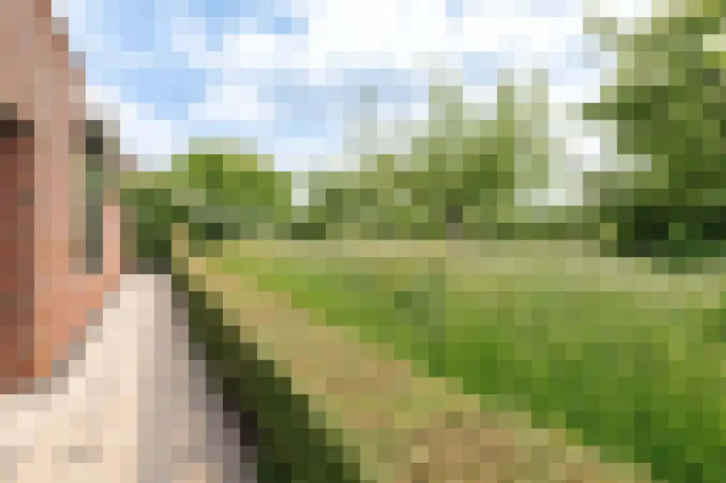 Nieuwland 47 Cothen thumbnail 15