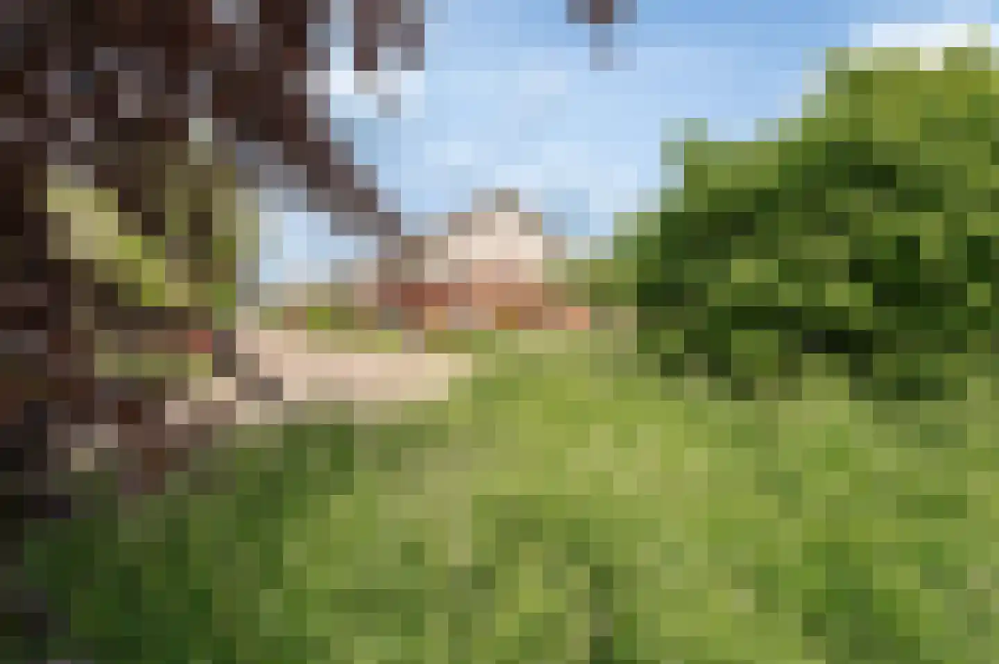 Nieuwland 47 Cothen thumbnail 16
