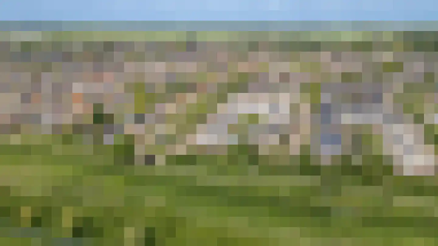 Nieuwland 47 Cothen thumbnail 39