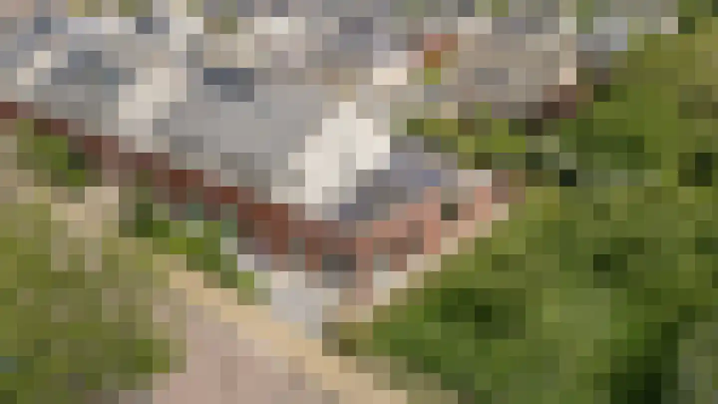 Nieuwland 47 Cothen thumbnail 40
