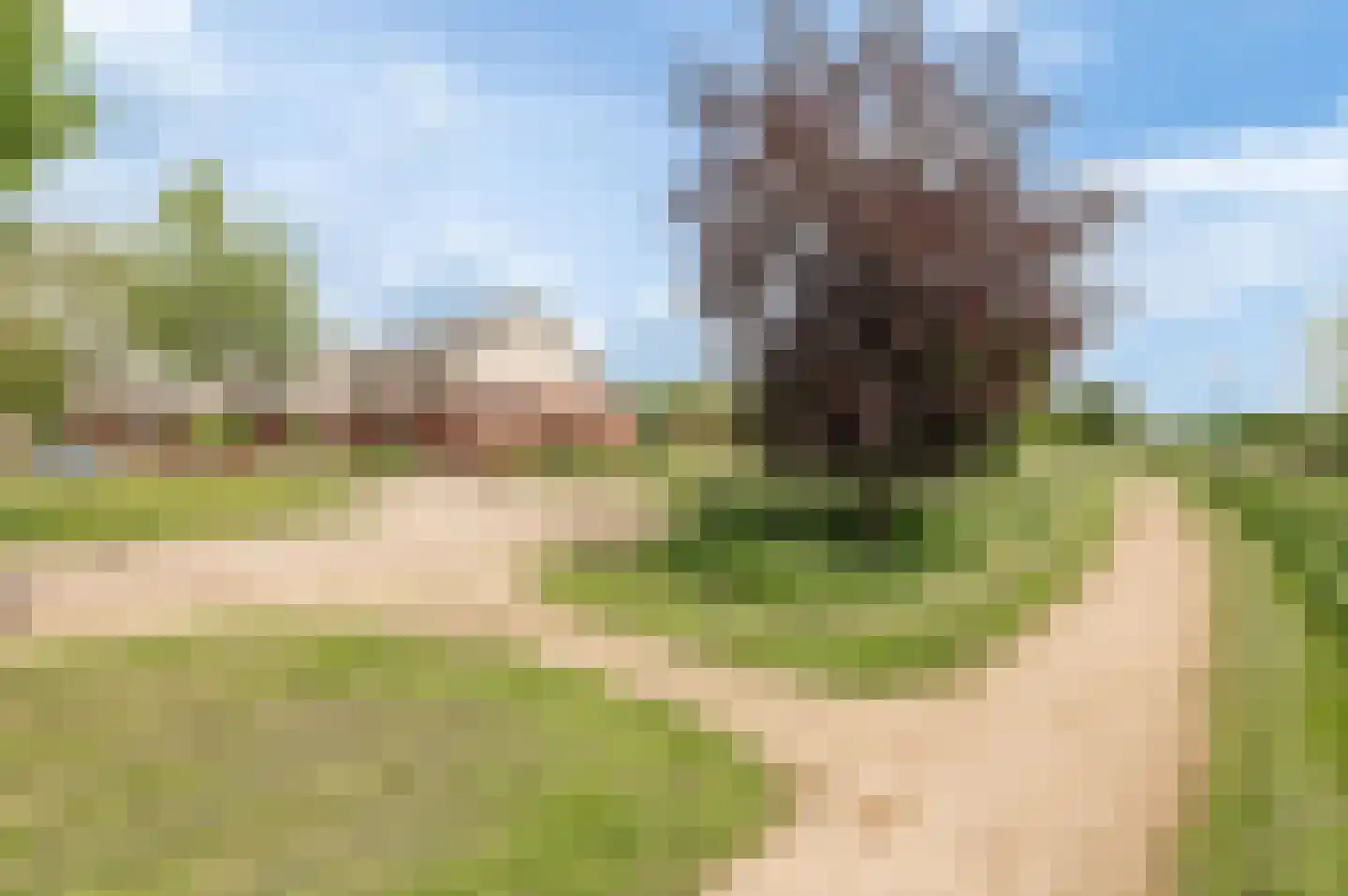 Nieuwland 47 Cothen thumbnail 41