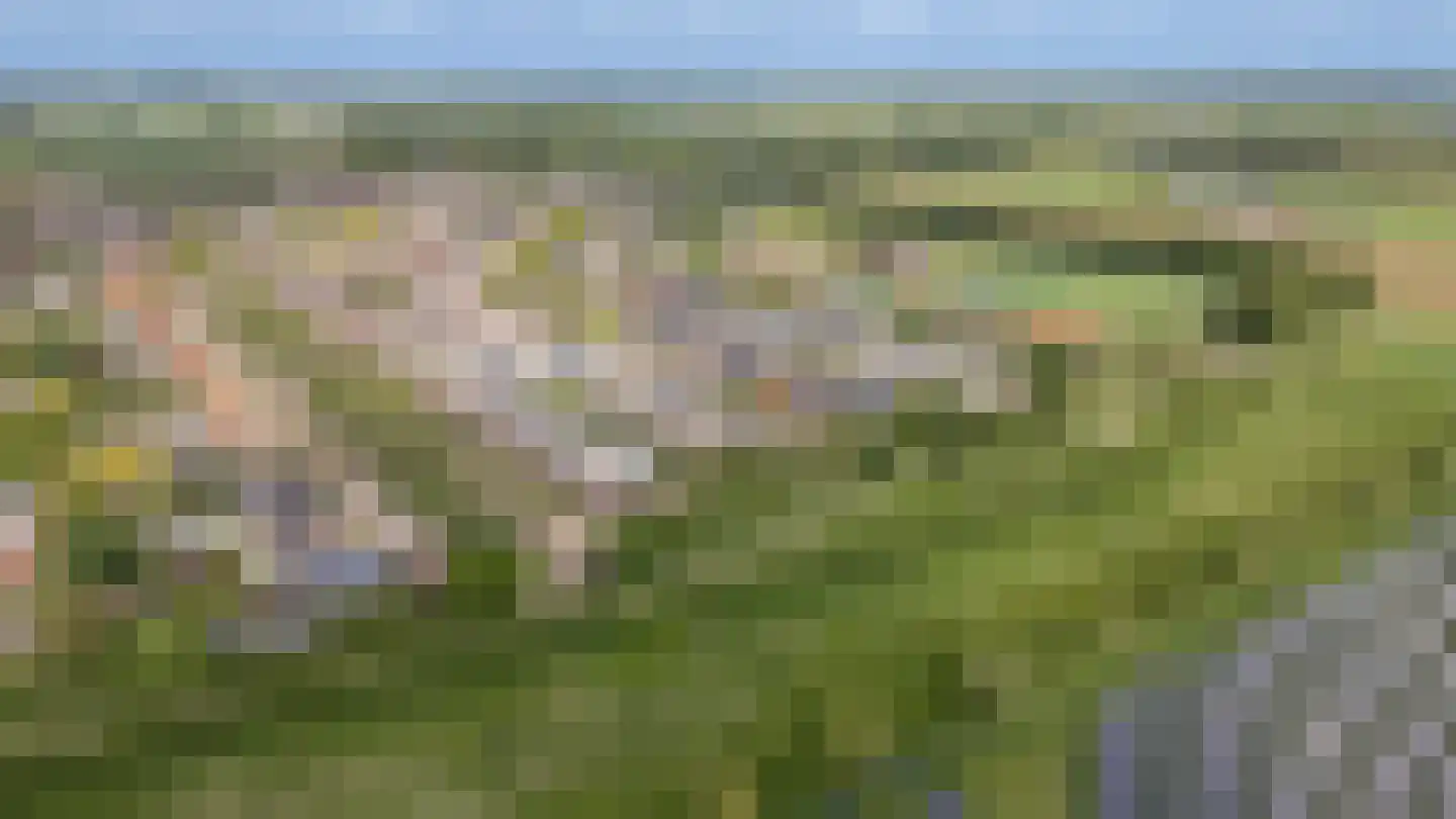 Nieuwland 47 Cothen thumbnail 45