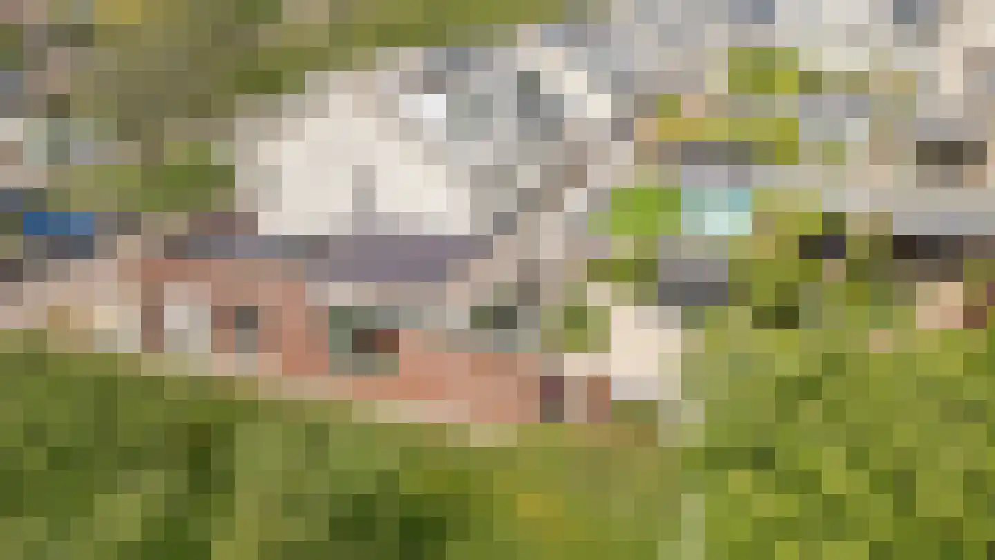 Nieuwland 47 Cothen thumbnail 46