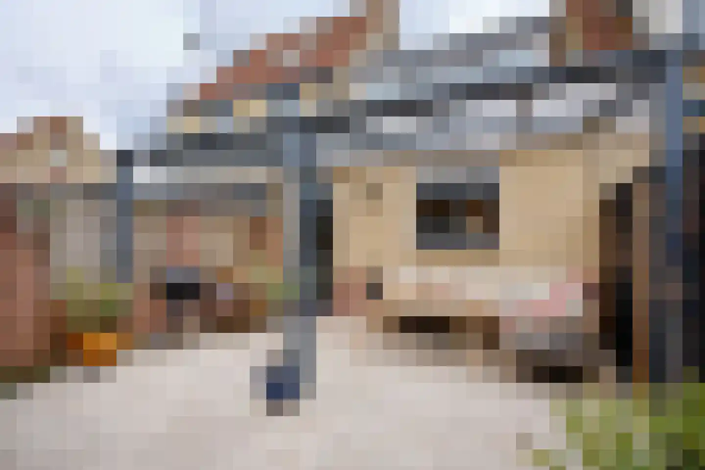 Nieuwland 54 Cothen thumbnail 22