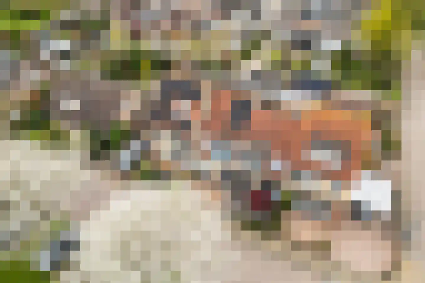 Nieuwland 54 Cothen thumbnail 35