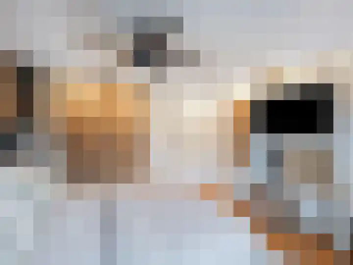 Nieuwland 8 Bavel thumbnail 14