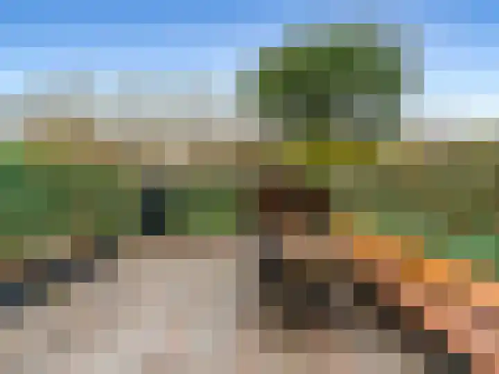 Nieuwland 8 Bavel thumbnail 24
