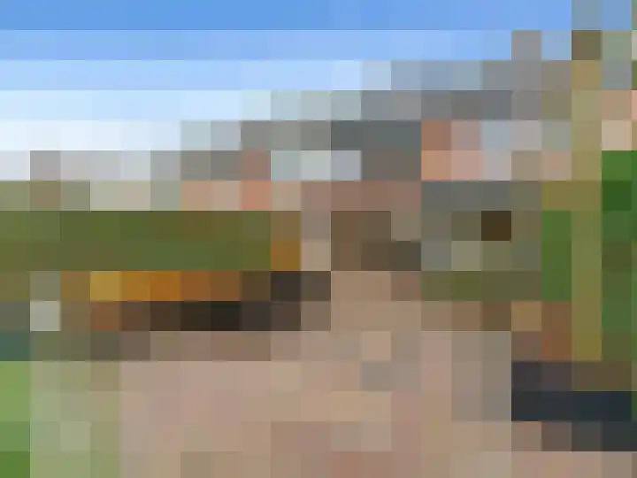 Nieuwland 8 Bavel thumbnail 25