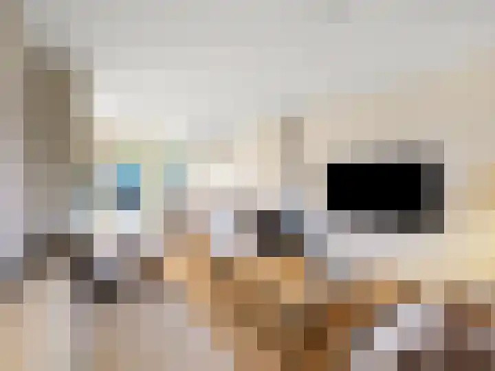 Nieuwland 8 Bavel thumbnail 5