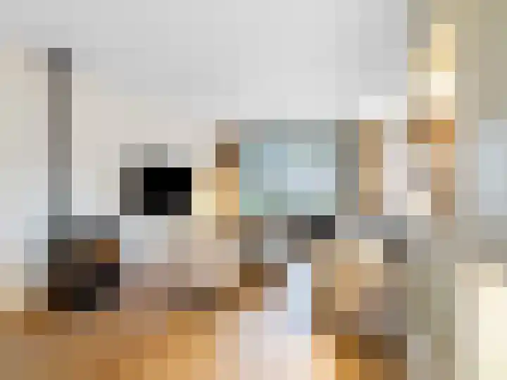 Nieuwland 8 Bavel thumbnail 6