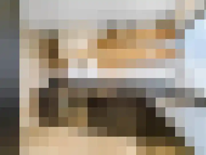 Nieuwland 8 Bavel thumbnail 9