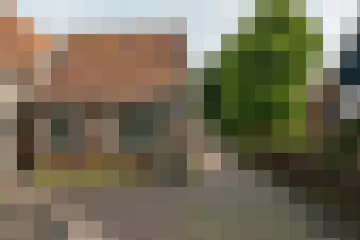 Nieuwland 8 De Rijp thumbnail 27