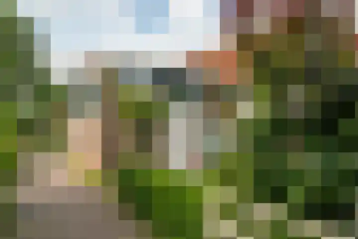 Nieuwland 8 De Rijp thumbnail 31