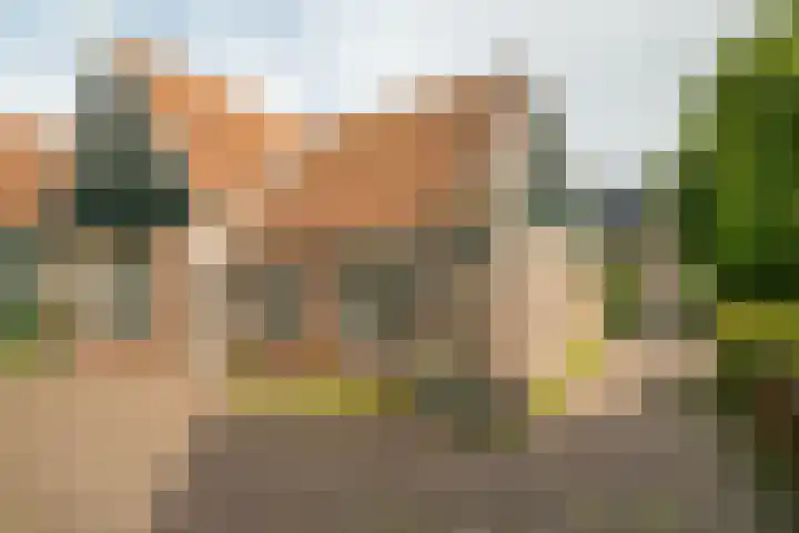 Nieuwland 8 De Rijp thumbnail 35