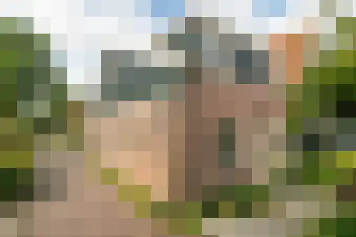 Nieuwland 8 De Rijp thumbnail 4